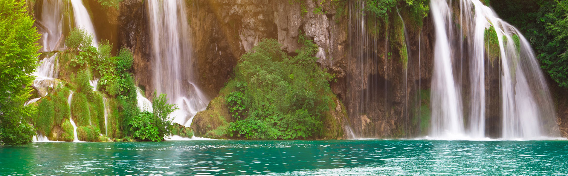 BENE Mental Wellness, PC