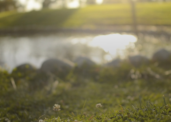 BENE Mental Wellness, PC